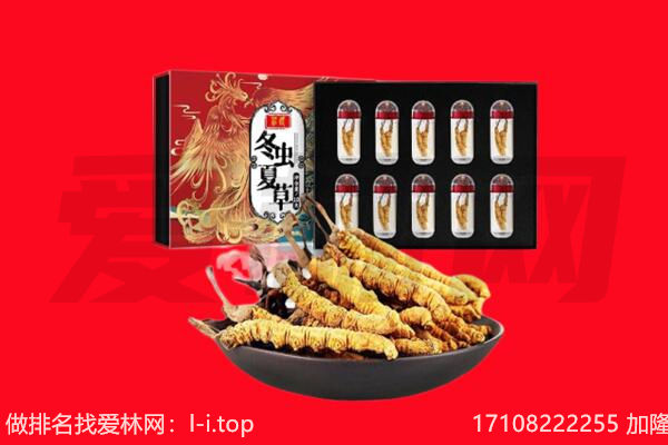 都兰县虫草回收